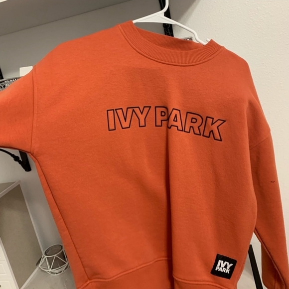 Ivy Park Sweatshirt - Picture 1 of 1